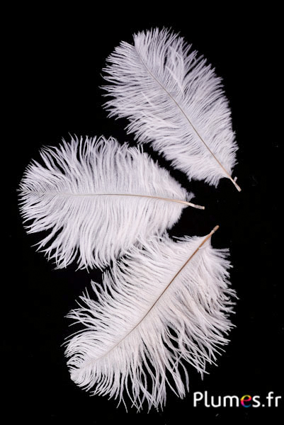Autruche - 13-18 cm - blanc